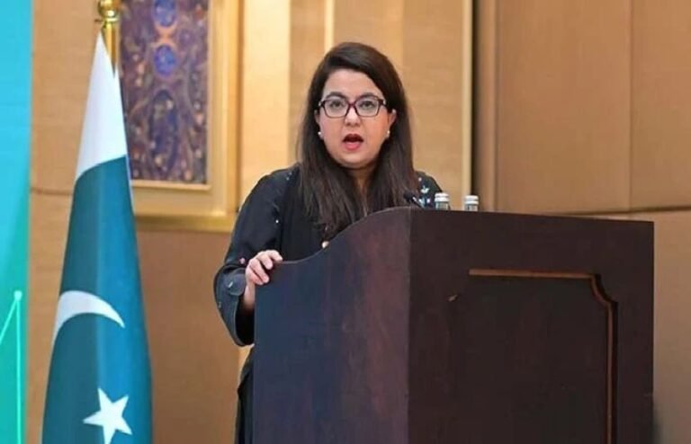 ملک میں بین الاقوامی انٹرنیٹ کنیکٹیویٹی بہتربنانے کے لیے نئی کیبل روٹس پر کام جاری ہے، شزہ فاطمہ