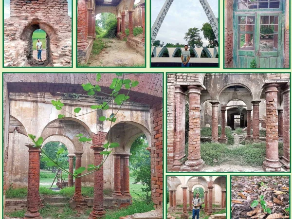 نیلی بار - ایکسپریس اردو 37 11764957606 0