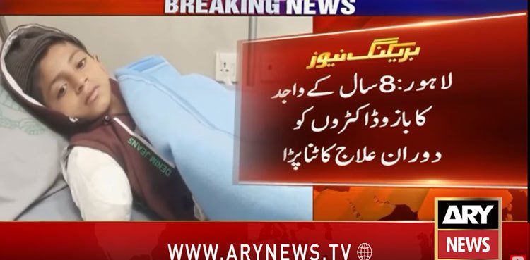 8-year-old boy loses arm in Lahore lion attack 99 1769255992 unnamed file