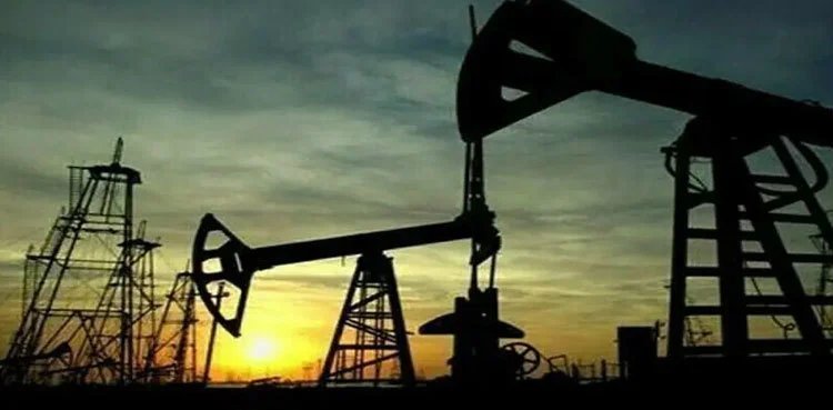 Japan to release part of oil reserves ahead of IEA-led decision