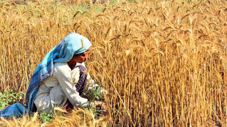 Farmers leader demands legitimate price of crops