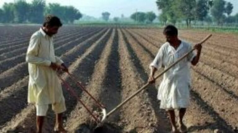 ‘Impose agricultural emergency in Pakistan,’ urges Kissan Ittehad president