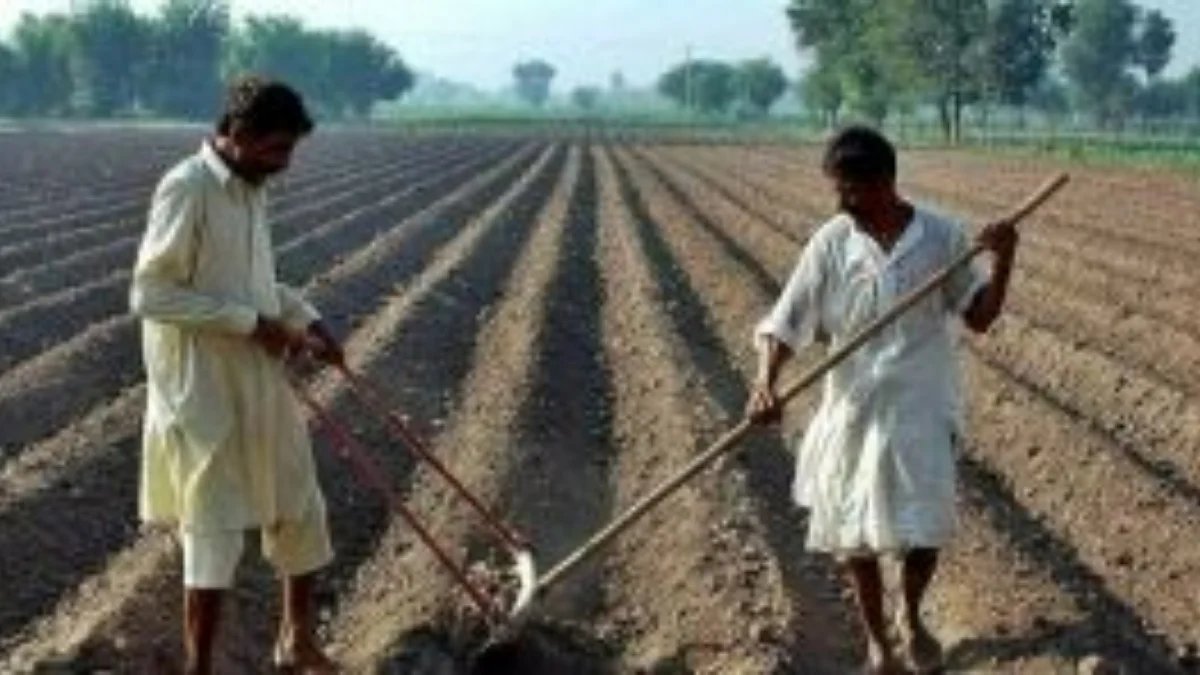 1792343133 Farmers