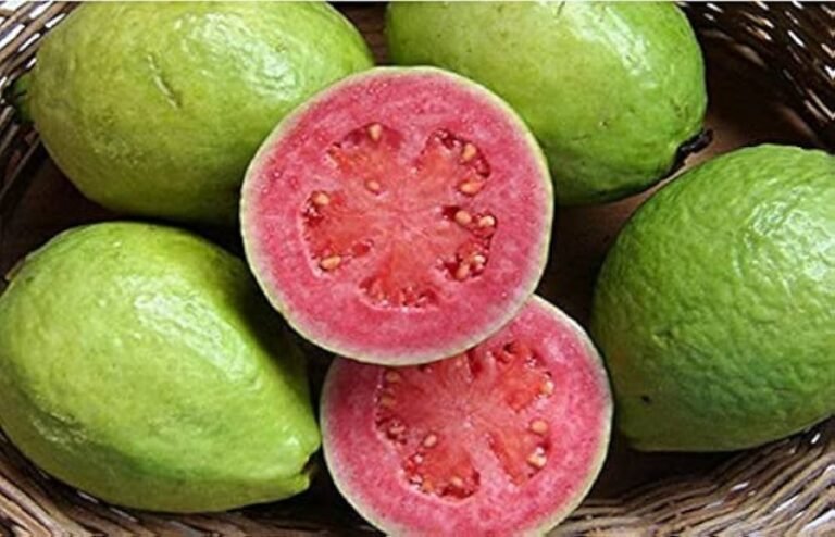 روزانہ ایک امرود کھائیں اور صحت کے حیران کن فوائد حاصل کریں