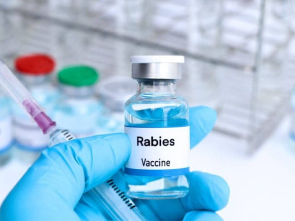 2691501 rabiesvaccine 1724479672