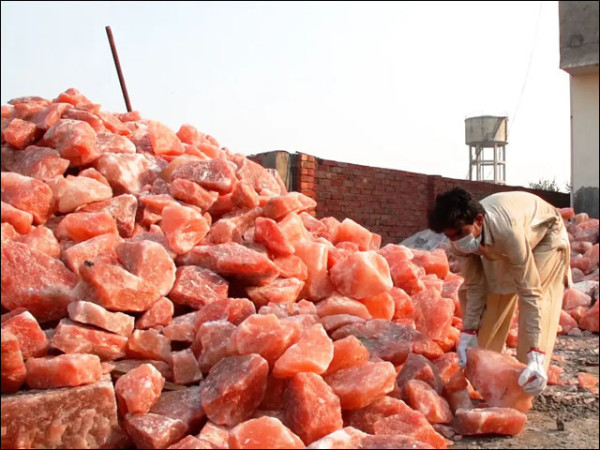 2704836 pakistanipinksalt 1726296487