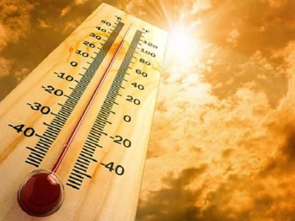 2709014 hotweather 1726846501