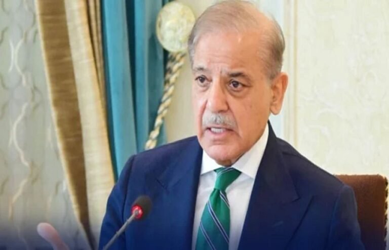 دہشت گردی کے خلاف جنگ آج بھی جاری ہے ، خوارج کو ہمسایہ ملکوں کی جانب سے سپورٹ دی جارہی ہے ، وزیر اعظم