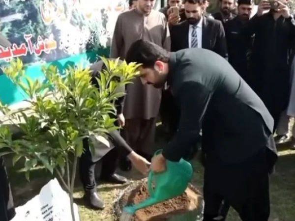 عمران خان کے ویژن کے تحت وزیراعلیٰ کےپی نے شجر مہم کا آغاز کر دیا 5 2d08bc6d614c966019b2a339be7a55ad1774250255 0