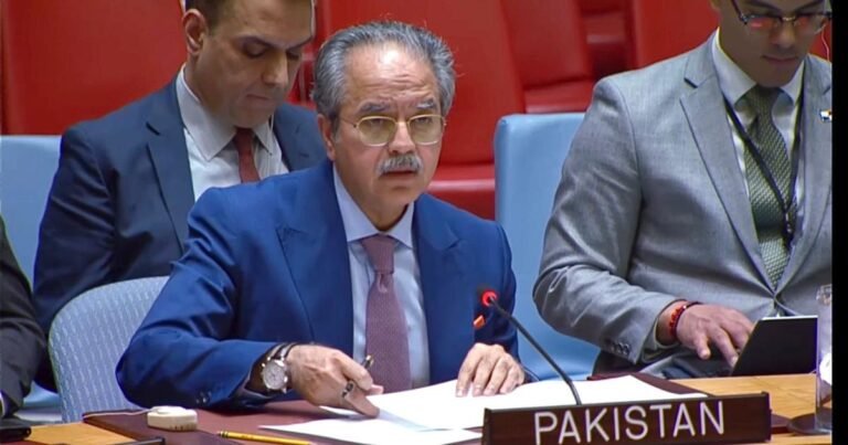 انڈیا افغانستان سے پاکستان میں ’دہشت گردی‘ کو ہوا دینے کی پالیسی ترک کرے: پاکستانی مندوب