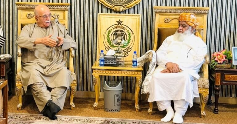 اپوزیشن اتحاد: ملکی سیاست میں مفاہمت پروان چڑھے گی یا مزاحمت کا امکان؟