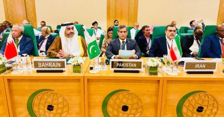 او آئی سی غیر معمولی اجلاس میں فلسطین پر جامع قرارداد منظور