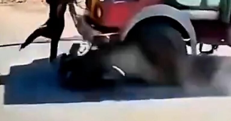 انڈیا میں ایک خاتون ٹرک حادثے میں بال بال بچ گئیں