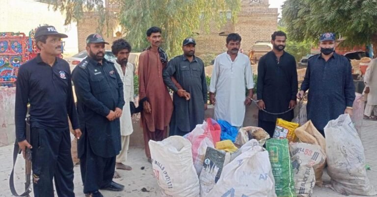 جامشورو: 1700 مردہ جنگلی پرندے برآمد، 5 ملزم گرفتار