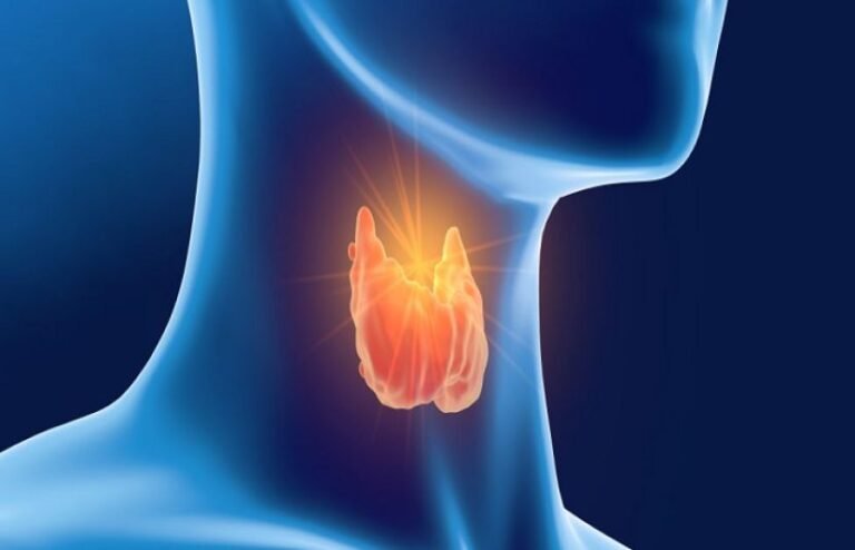 تھائیرائیڈ سے کیا صرف حلق میں پایا جاتا ہے؟ 55 3e6a5f59e9ff339b78be87f74bfdfd1f L