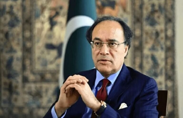 پاکستان معاشی ترقی کی جانب سفر کر رہا ہے، احتجاج اور دھرنوں سے معیشت کو یومیہ 120 ارب روپے کا نقصان ہوگا: وزیر خزانہ