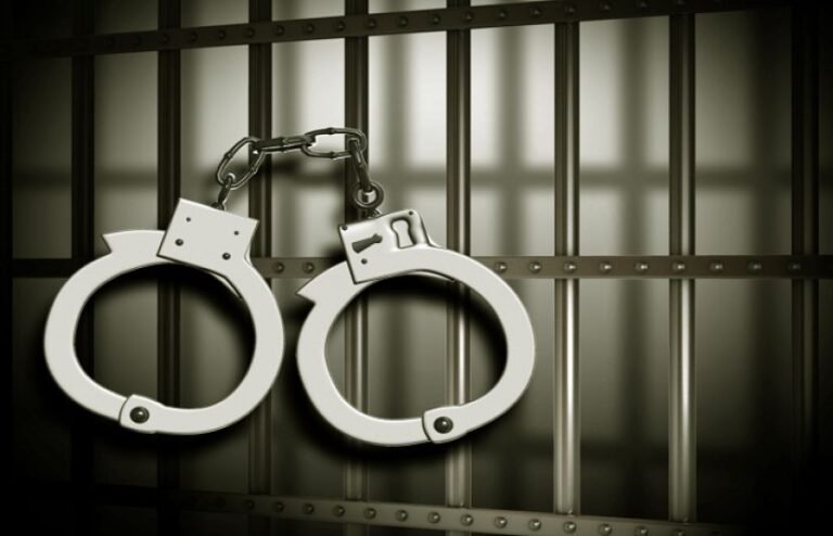 پیشگوئی سچ ثابت کرنے کیلئے فون چرانے والا نجومی گرفتار