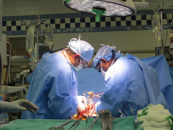 946426 livertransplant 1506408836
