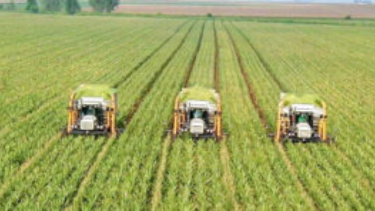 Agriculture