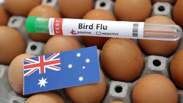 Australia Confirms First H5N1 Bird Flu Case in Local Mammal