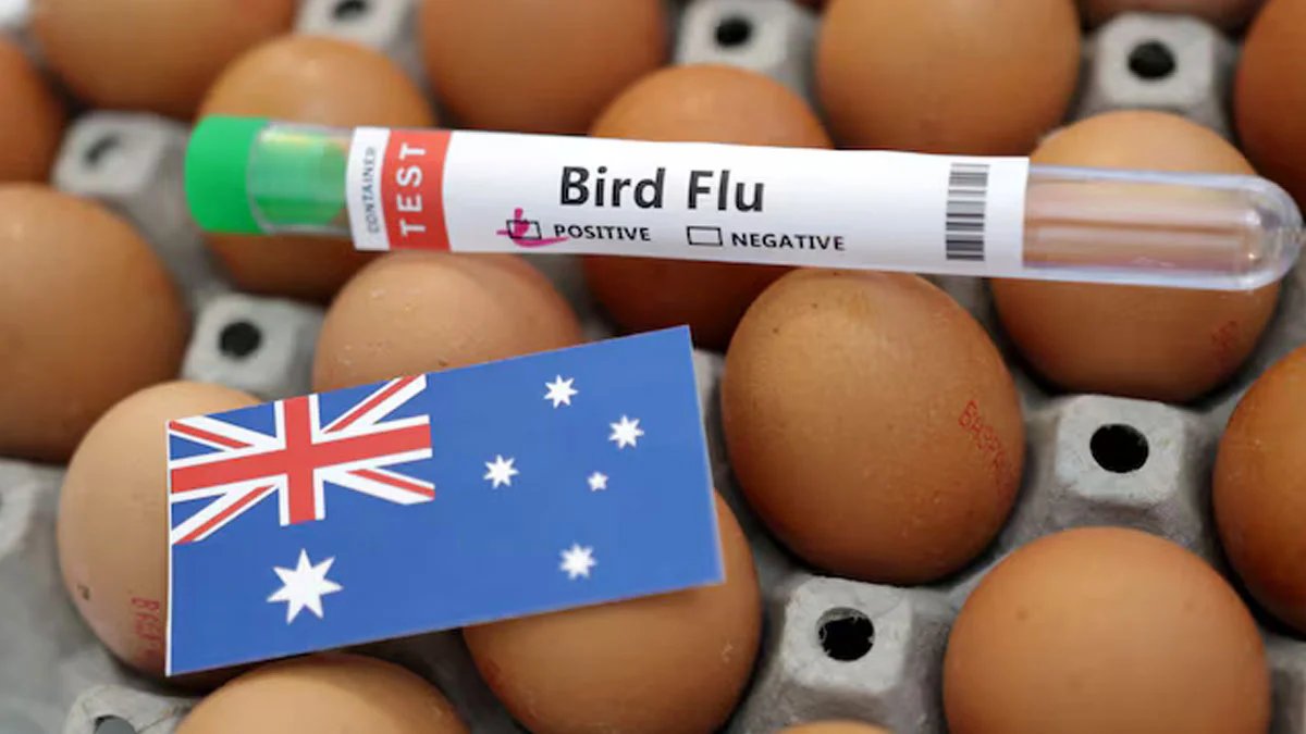 Australia Bird flu
