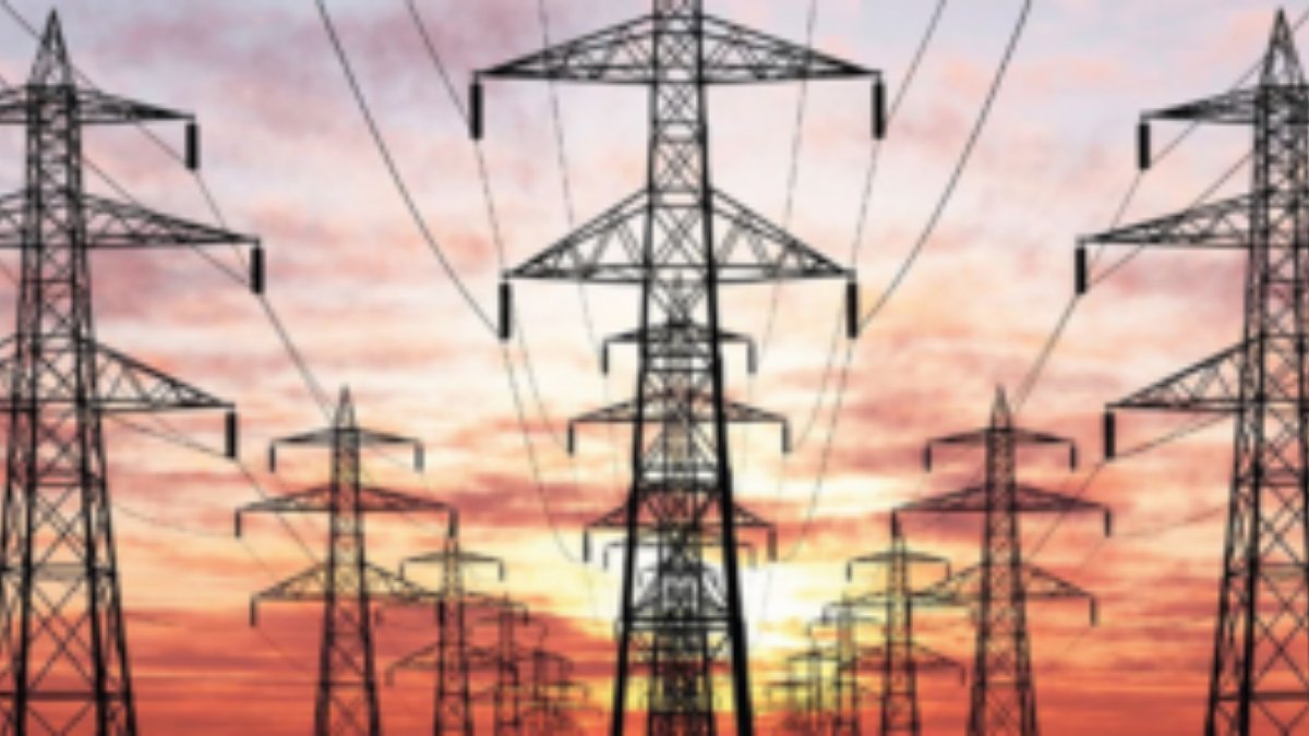 Electricity privatization