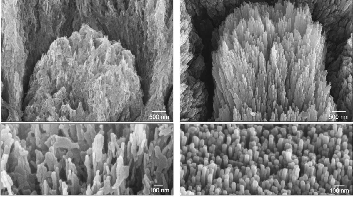 Electron microscopy images of a tooth with demineralised enamel