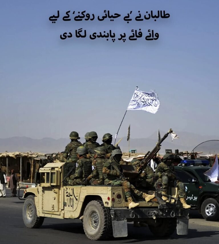 طالبان نے بلخ میں فائبر آپٹک انٹرنیٹ پر پابندی عائد کر دی