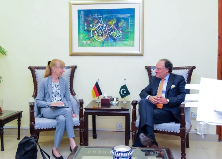 سفیر اور وزیر خزانہ محمد اورنگزیب کی ملاقات، پاکستان کی اقتصادی اصلاحات پر تبادلہ خیال