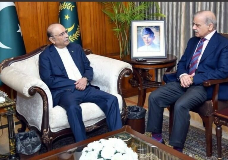 صدر آصف علی زرداری اور وزیرِاعظم شہباز شریف کا عالمی برادری سے مسئلہ کشمیر کے حل کے لیے مؤثر اقدامات کا مطالبہ