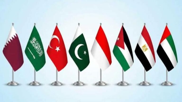 اسرائیلی بیانات پر شدید تشویش: آٹھ مسلم ممالک کے وزرائے خارجہ کا مشترکہ اظہارِ تشویش