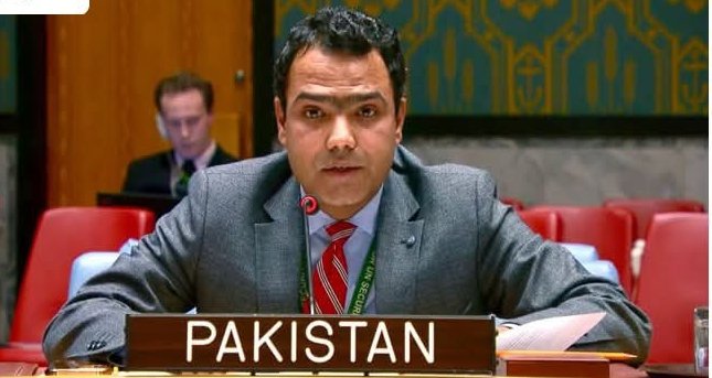 بھارت کی سرپرستی میں ٹی ٹی پی اور بی ایل اے پاکستان میں دہشت گردی میں ملوث ہیں، شواہد موجود ہیں: پاکستانی قونصلر