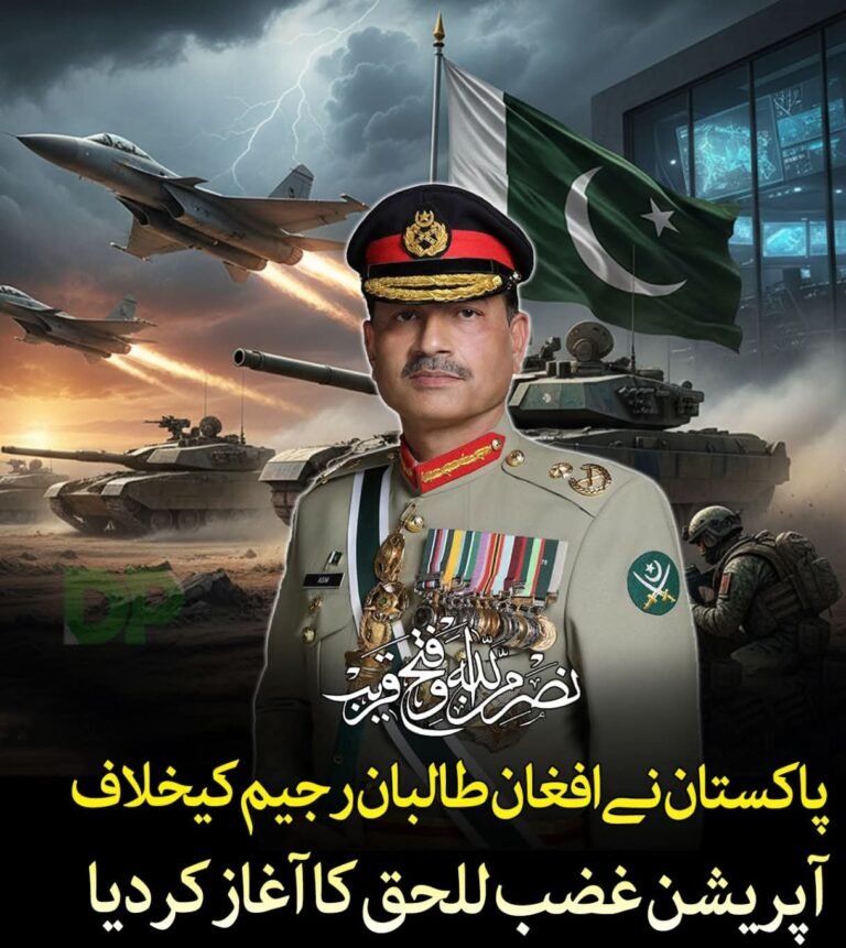 پاکستان نے افغان طالبان کے خلاف ”آپریشن غضب للحق” شروع کردیاچترال سے باجوڑ تک سرحدی سیکٹرز میں بھرپور جوابی کارروائی، 22 طالبان ہلاک