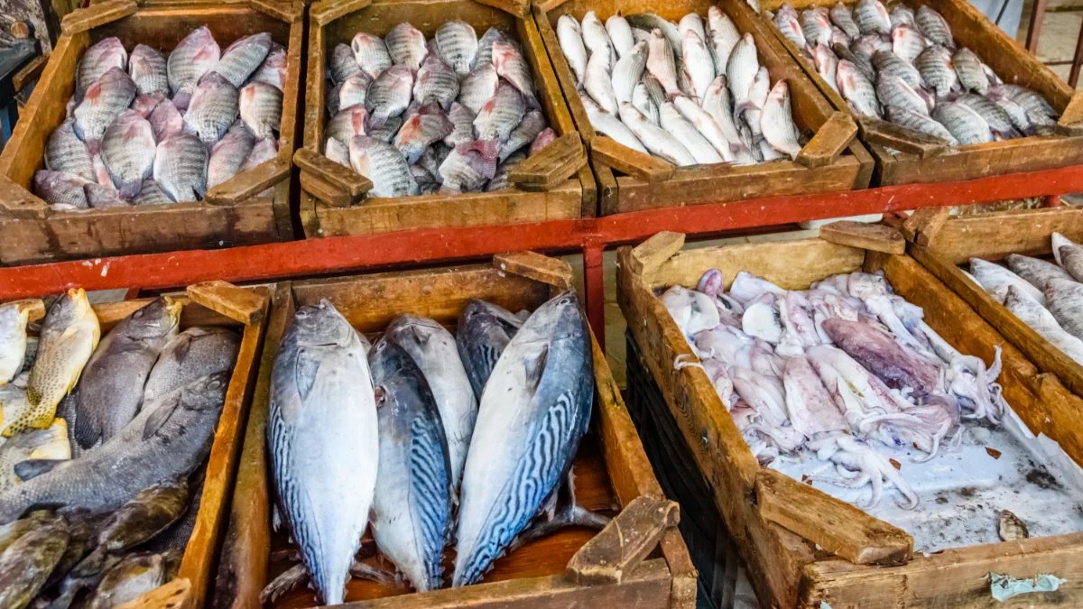 Fish