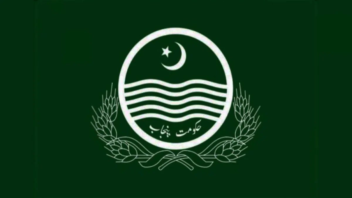 Government P