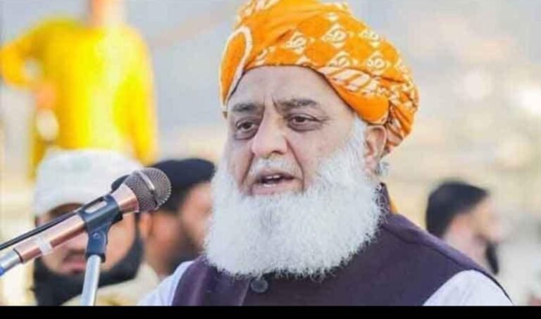 اسٹیبلشمنٹ اور بیوروکریسی کو دشمن نہیں سمجھتے،غلطی کو غلط کہنا ہمارا حق ہے: مولانا فضل الرحمان