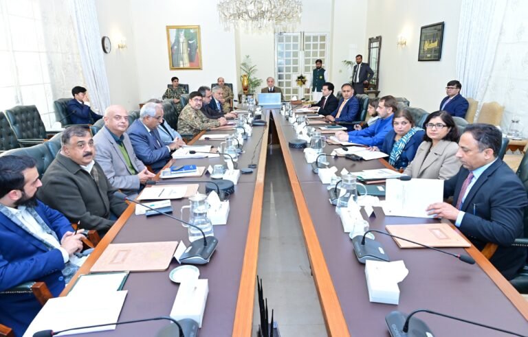 دور دراز علاقوں میں بلا تعطل بجلی کی فراہمی کیلئے سولرائزیشن، وزیراعظم کی ہدایت
