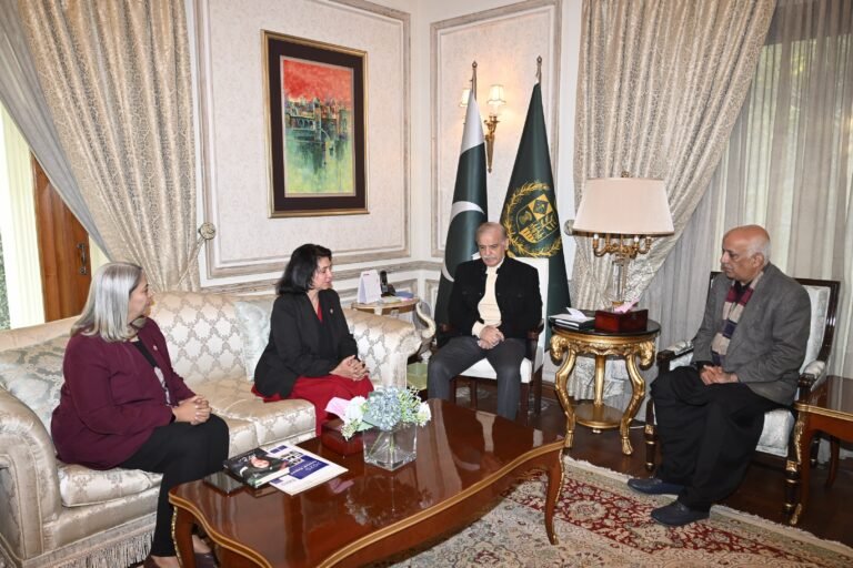 نوجوانوں کو بین الاقوامی معیار کی آئی ٹی تربیت فراہم کرنا حکومت کی ترجیح ہے، وزیراعظم شہباز شریف