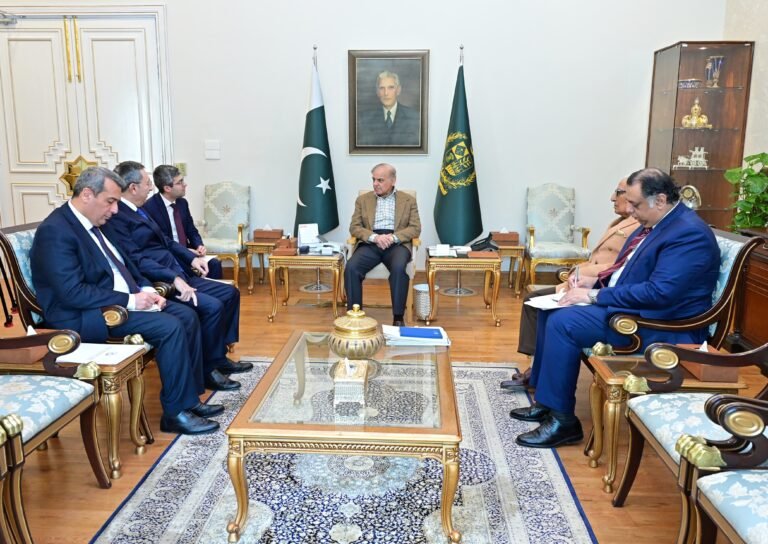 وزیر اعظم شہباز نے پاکستان اور آذربائیجان کے تعلقات مضبوط بنانے کا عزم ظاہر کیا