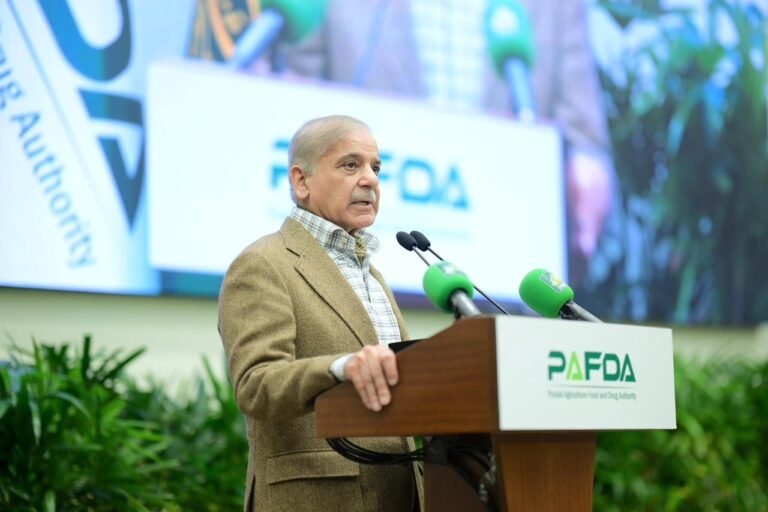 پاکستان میں پنجاب ایگریکلچر، فوڈ اینڈ ڈرگ اتھارٹی کا اجرا، حفظانِ صحت کے معیار بہتر بنانے پر زور