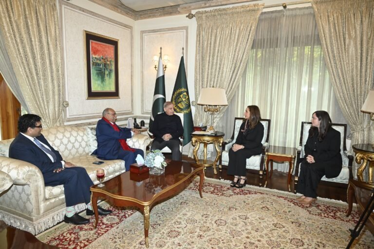 وزیراعظم محمد شہباز شریف سے 61ویں وینس بیانالے 2026 کے پاکستانی پویلین ٹیم کی ملاقات