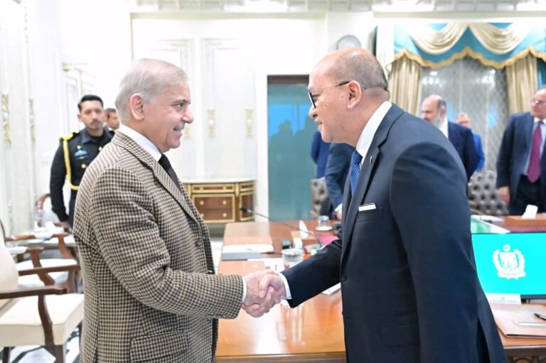 وزیراعظم محمد شہباز شریف سے انڈونیشیا کے وزیر سرمایہ کاری روسان روئیسلانی کی سربراہی میں وفد کی ملاقات