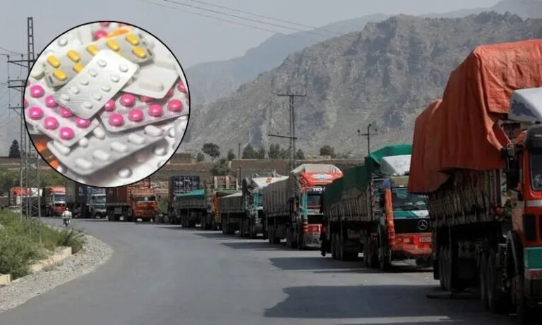 افغان سرحدی بندش سے پاکستان کی 200 ملین ڈالر مالیت کی ادویات کی برآمدات متاثر
