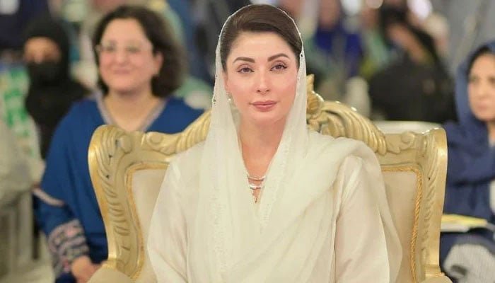 پنجاب میں 28 مارچ کو ارتھ آور منایا جائے گا، غیر ضروری لائٹس بند کرنے کی ہدایت