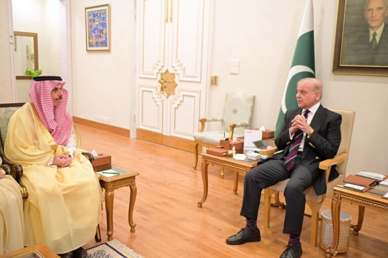 سعودی وزیرِ خارجہ کی وزیرِ اعظم شہباز شریف سے اہم ملاقات، خطے میں امن کیلئے مشترکہ کوششوں پر اتفاق