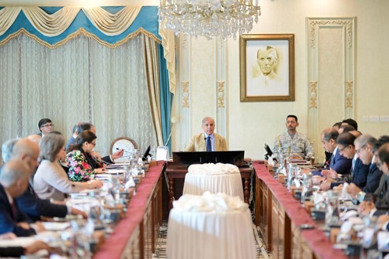 نوجوانوں کے روزگار کے مواقع بڑھانے کیلئے حکومتی اقدامات تیز کرنے کی ہدایت