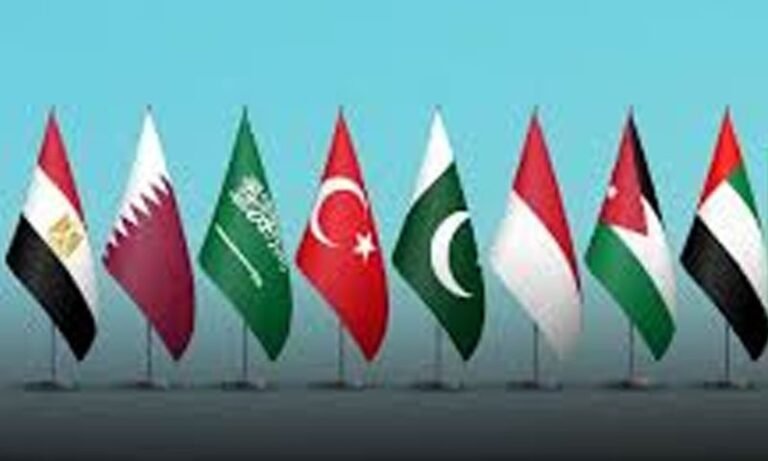 پاکستان سمیت 8 مسلم ممالک نے فلسطینی قیدیوں کے خلاف اسرائیلی سزائے موت کے قانون کی سخت مذمت کر دی