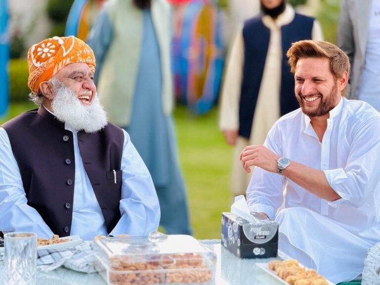 مولانا فضل الرحمان کی شاہد آفریدی سے ملاقات