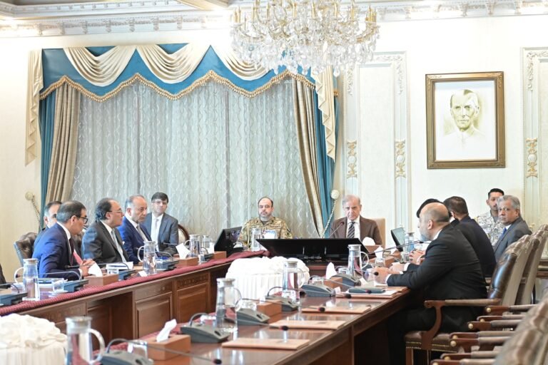 وزیراعظم کی زیرصدارت اجلاس، پبلک پرائیویٹ پارٹنرشپ نظام کو مزید مؤثر بنانے کی منظوری