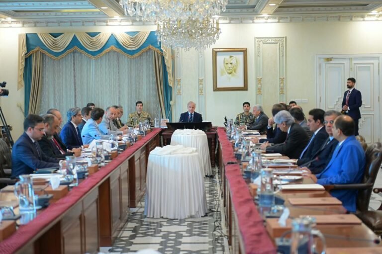 وزیرِاعظم شہباز شریف کی زیرِ صدارت قومی زرعی و غذائی تحفظ کونسل کا پہلا اجلاس